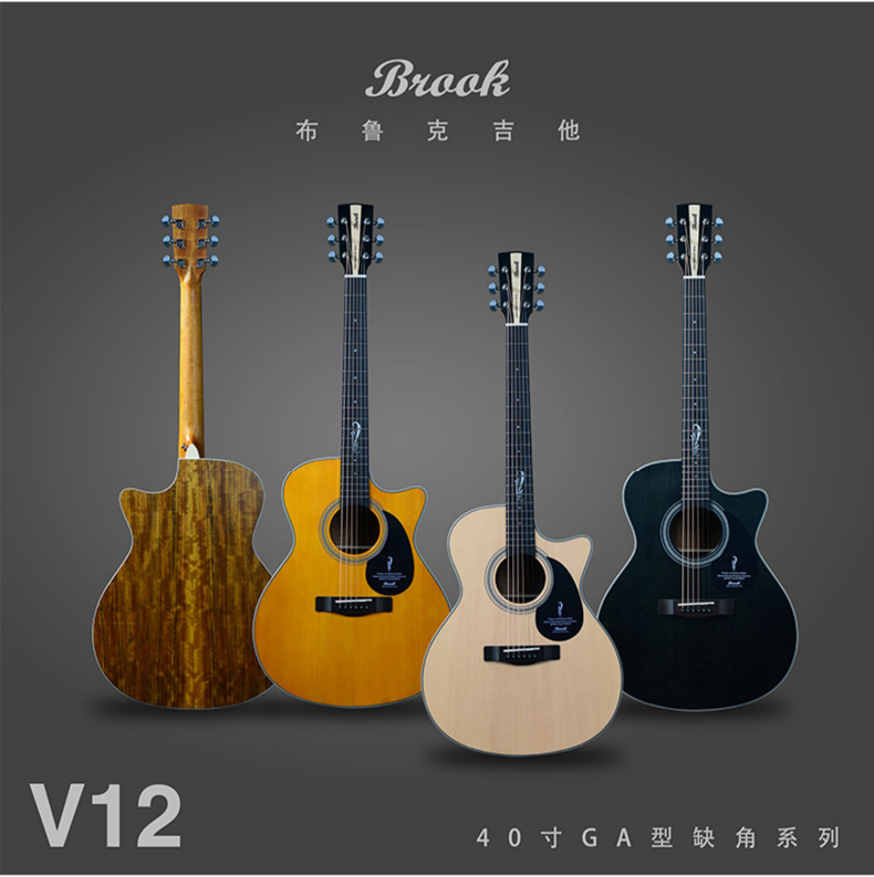 布鲁克V12图片2