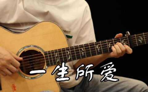 卢冠廷 一生所爱吉他谱 原版C调指法改编【视频】