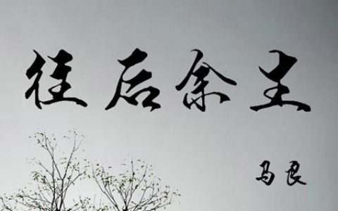往后余生吉他谱 马良 C调简单版【视频教学】