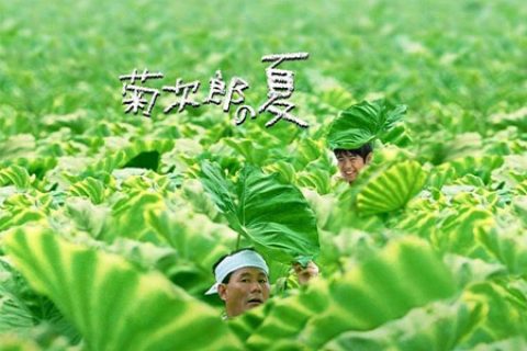 Summer菊次郎的夏天吉他谱 久石让 C调高清指弹谱