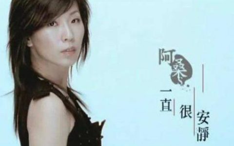 阿桑 一直很安静吉他谱 G调简单版【视频教学】