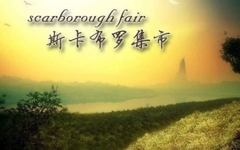 斯卡布罗集市吉他谱Scarborough Fair C调简单版指弹谱