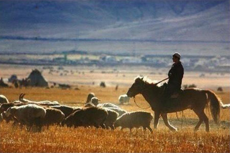 可可托海的牧羊人