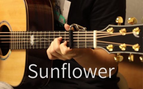 孙培博 太阳花Sunflower吉他谱指弹高清谱