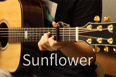 孙培博 太阳花Sunflower吉他谱指弹高清谱