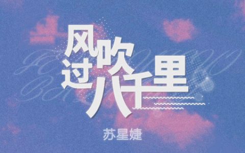 苏星婕 风吹过八千里吉他谱 G调超原版编配