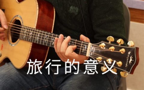 陈绮贞 旅行的意义吉他谱 D调原版完整版【视频教学】