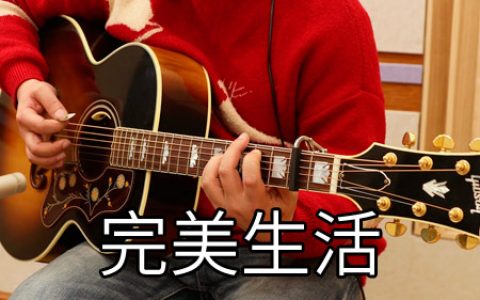 许巍 完美生活吉他谱 D调原版编配【视频教学】