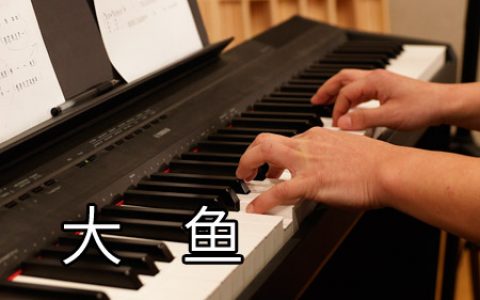 周深 大鱼钢琴简谱 C调简单版独奏谱【视频教学】