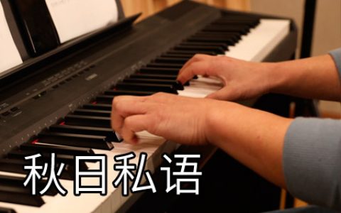 理查德·克莱德曼 秋日私语钢琴简谱 C调简化版【视频教学】