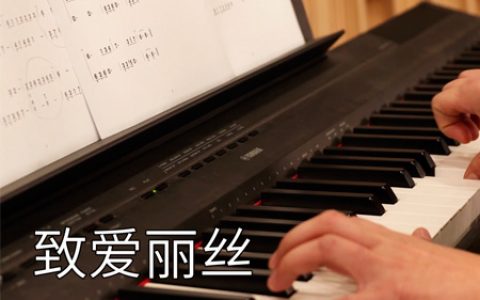 贝多芬 致爱丽丝钢琴简谱 C调简单版【视频教学】
