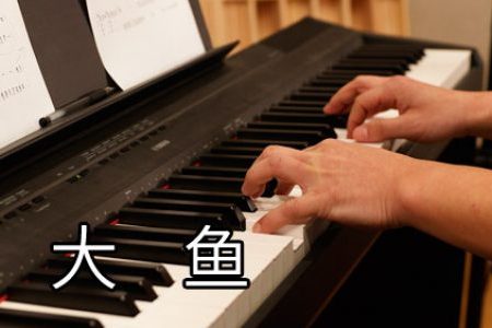 周深 大鱼独奏钢琴谱五线谱【视频教学】