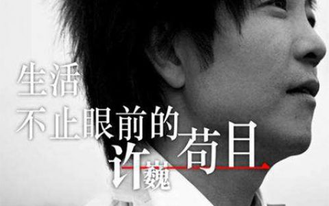 许巍 生活不止眼前的苟且吉他谱 G调超原版编配【视频教学】