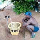 。。的头像