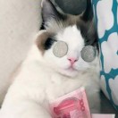 小胡的头像