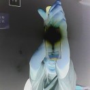 无的头像