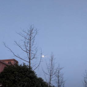 697810的头像